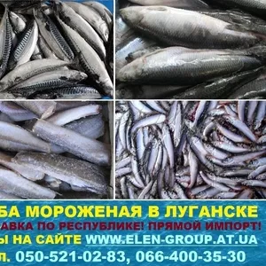 Рыба свежемороженая со склада в Луганске. Бесплатная доставка по ЛНР